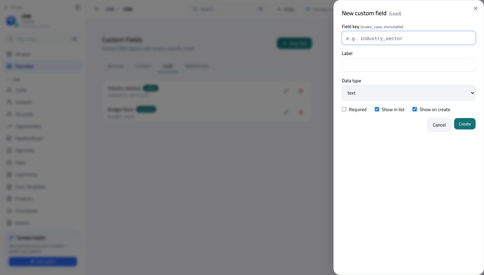 CRM Administrator view of add a field to a record type in Tarleaks ERP